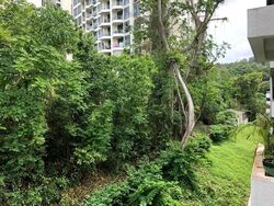 The Dairy Farm (D23), Condominium #623060291